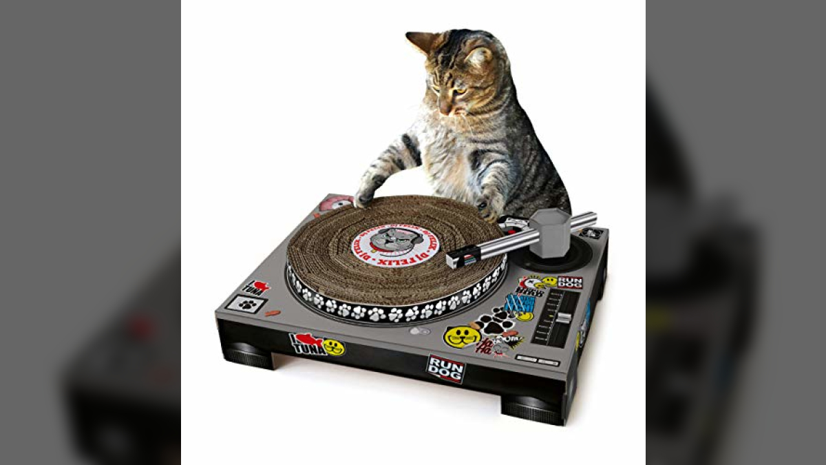 cat scratching toys